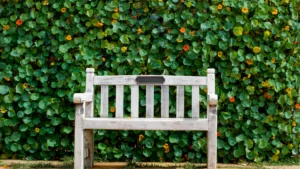 Memorial Bench Plaque